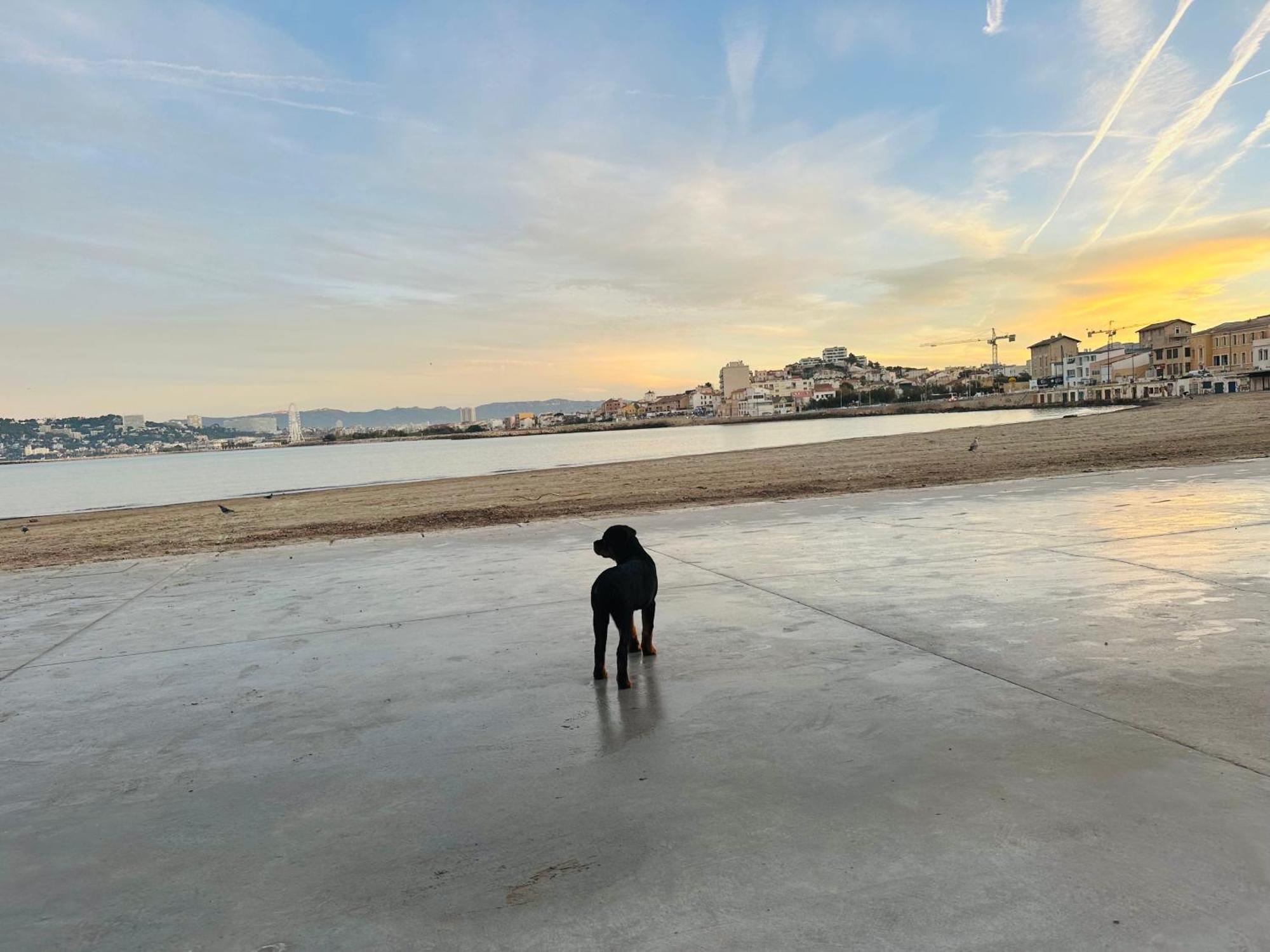 L'Enraguer Apartment Marseille Ngoại thất bức ảnh